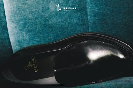 ヴィジュアル画像