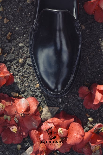 ヴィジュアル画像