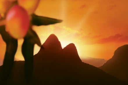 チェイシング サンセッツイメージ画像