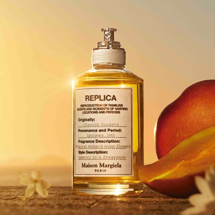 チェイシング サンセッツイメージ画像