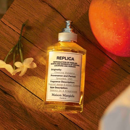 チェイシング サンセッツイメージ画像