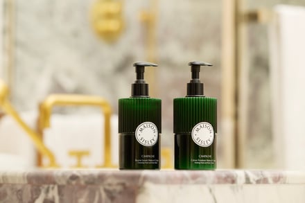 シスレー　4-6月発売新商品の画像