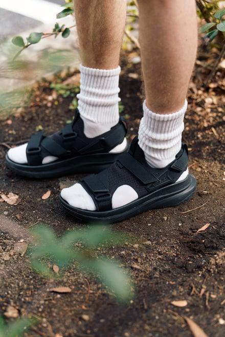 ヴィジュアル画像