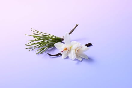 とろけるジェラートボディスクラブ