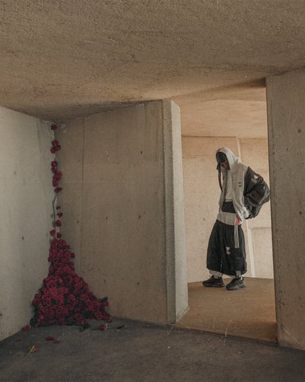 ヴィジュアル画像