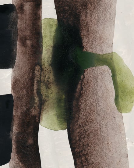 アポテーケフレグランス ヴェインリーフ ハンドウォッシュの画像