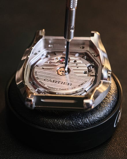 ヴィジュアル画像