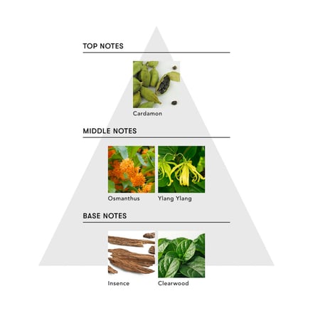 桜田通 シンピュルテ コラボ 画像