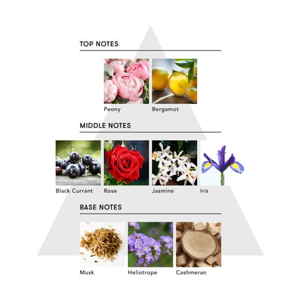 桜田通 シンピュルテ コラボ 画像