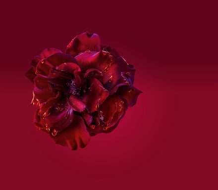 ゲラン キスキス ビー インテンスの画像