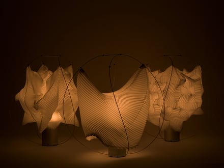 ヴィジュアル画像