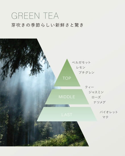 ジョンマスターオーガニック グリーンティ 画像