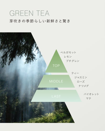 アクアパフューム（グリーンティ）香調画像