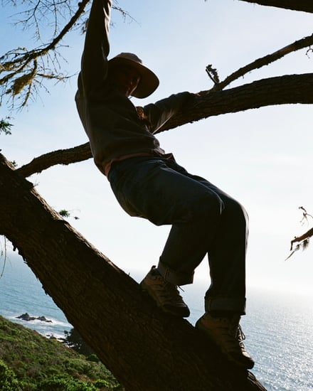 コラボレーションモデルのヴィジュアル