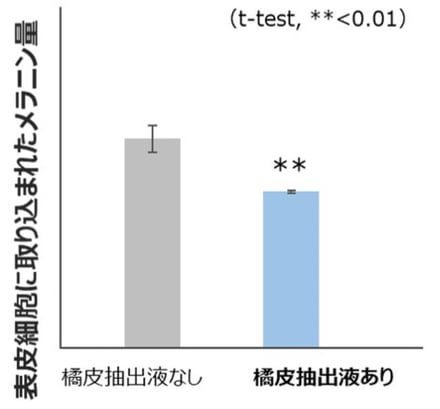 コーセー 橘皮抽出液 研究 画像