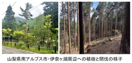 コーセー サステナビリティ戦略 新目標