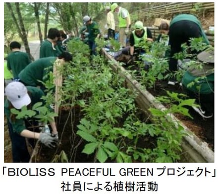 コーセー サステナビリティ戦略 新目標