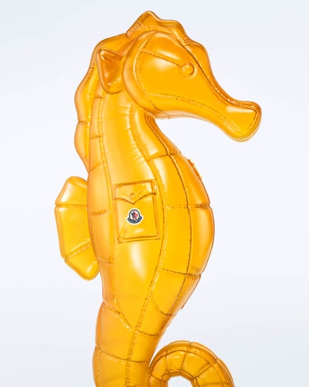 タツノオトシゴ