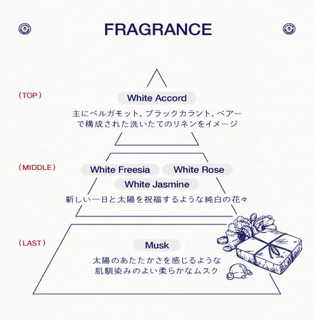 ミュシャ新フレグランスビジュアル画像