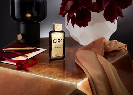 ノーズショップ シロ 画像