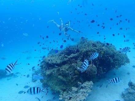 沖縄・座間味島の風景画像