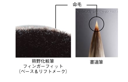 ポーラ ファンデーション 熊野ブラシ 画像