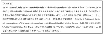 ロート製薬 次世代の血管付属人工皮膚モデルの構築成功の画像