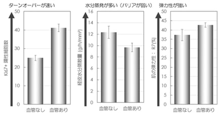 ロート製薬 次世代の血管付属人工皮膚モデルの構築成功の画像