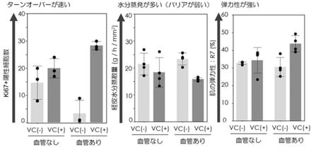 ロート製薬 次世代の血管付属人工皮膚モデルの構築成功の画像