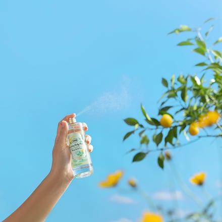 サボン夏限定コレクションキービジュアル