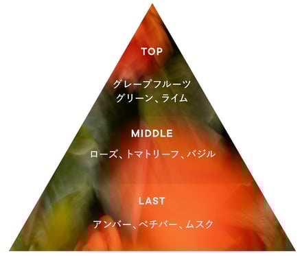 SHIRO 香り イメージ