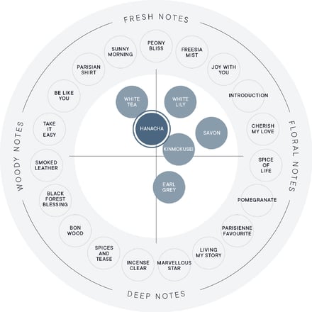 SHIRO 香り チャート