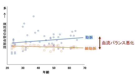 資生堂血流研究画像