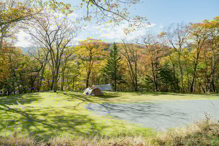 キャンプ場