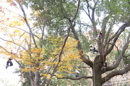TINY GARDEN MARCHE in Senri Chuo Park