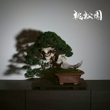 ヴィジュアル画像