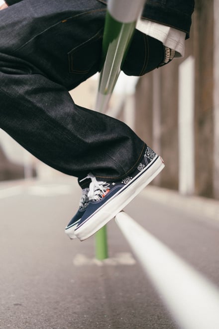 ヴィジュアル画像