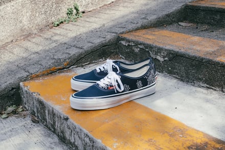 ヴィジュアル画像