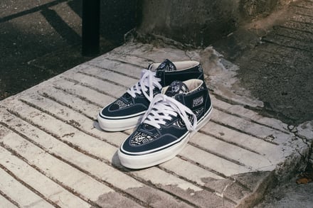 ヴィジュアル画像