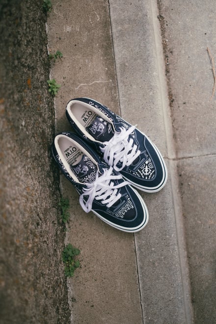 ヴィジュアル画像