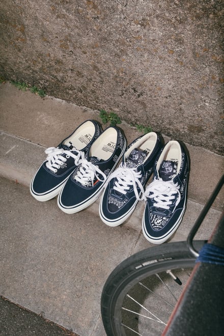 ヴィジュアル画像