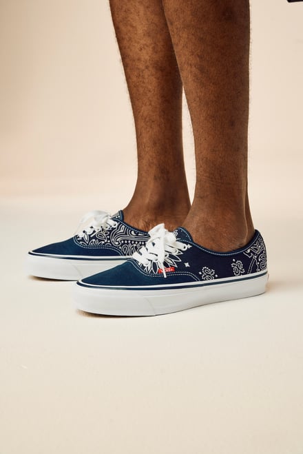 ヴィジュアル画像