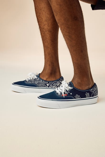 ヴィジュアル画像