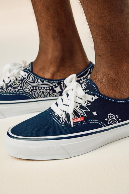 ヴィジュアル画像