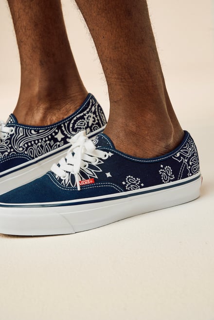 ヴィジュアル画像