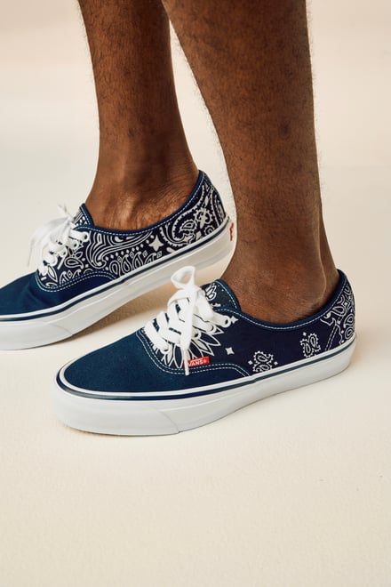 ヴィジュアル画像