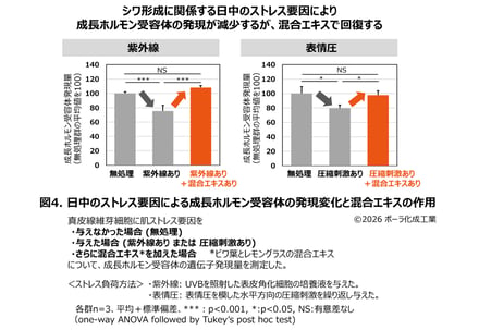 研究成果の図案