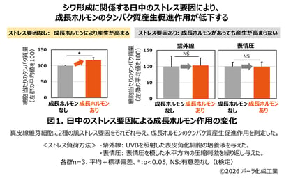 研究成果の図案