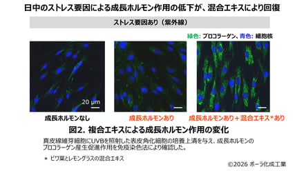 研究成果の図案