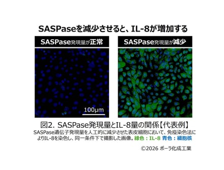 研究成果の図案